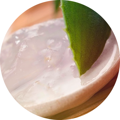 Pure Aloe Vera Benefits